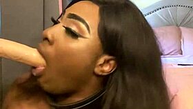 lexo butterfly's deep ebony cock sucking fills me with submissive passion