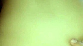 This curvy bitch loves impaling on cock reverse cowgirl style
