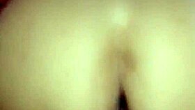 This curvy bitch loves impaling on cock reverse cowgirl style