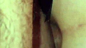 Proud wife dives into hardcore anal slave ecstasy