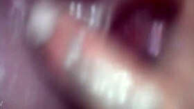 tony tolan and my sucking besty ex wife his cock