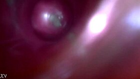tony tolan and my sucking besty ex wife his cock