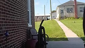 Outdoor vac play session