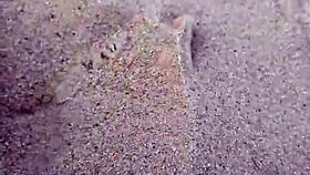 Feet in the sand for sensory barefeet modeling outdoors