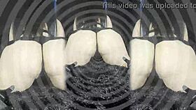 Pussy free beta mind fuck by mistress marrion