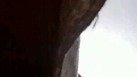 upskirt view under skirt in public