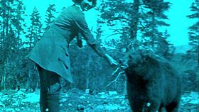 Vintage nature girls show hairy pussies