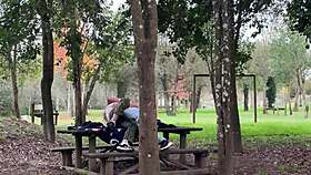 milf gets caught having sex outdoors