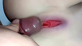 Fucked secretarys ass in the office with toys
